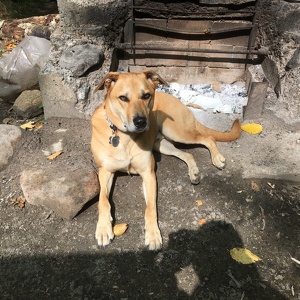 Fundraising Page: Cindy Best